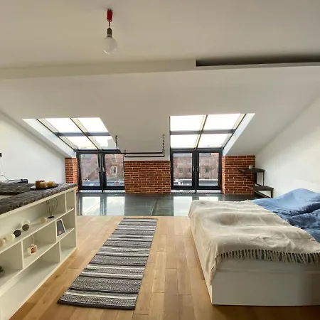 Wyjatkowy 2-poziomowy Klimatyzowany Loft Apartman Łódź