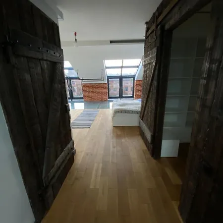 Wyjatkowy 2-poziomowy Klimatyzowany Loft Apartment Lodz (Lodz)